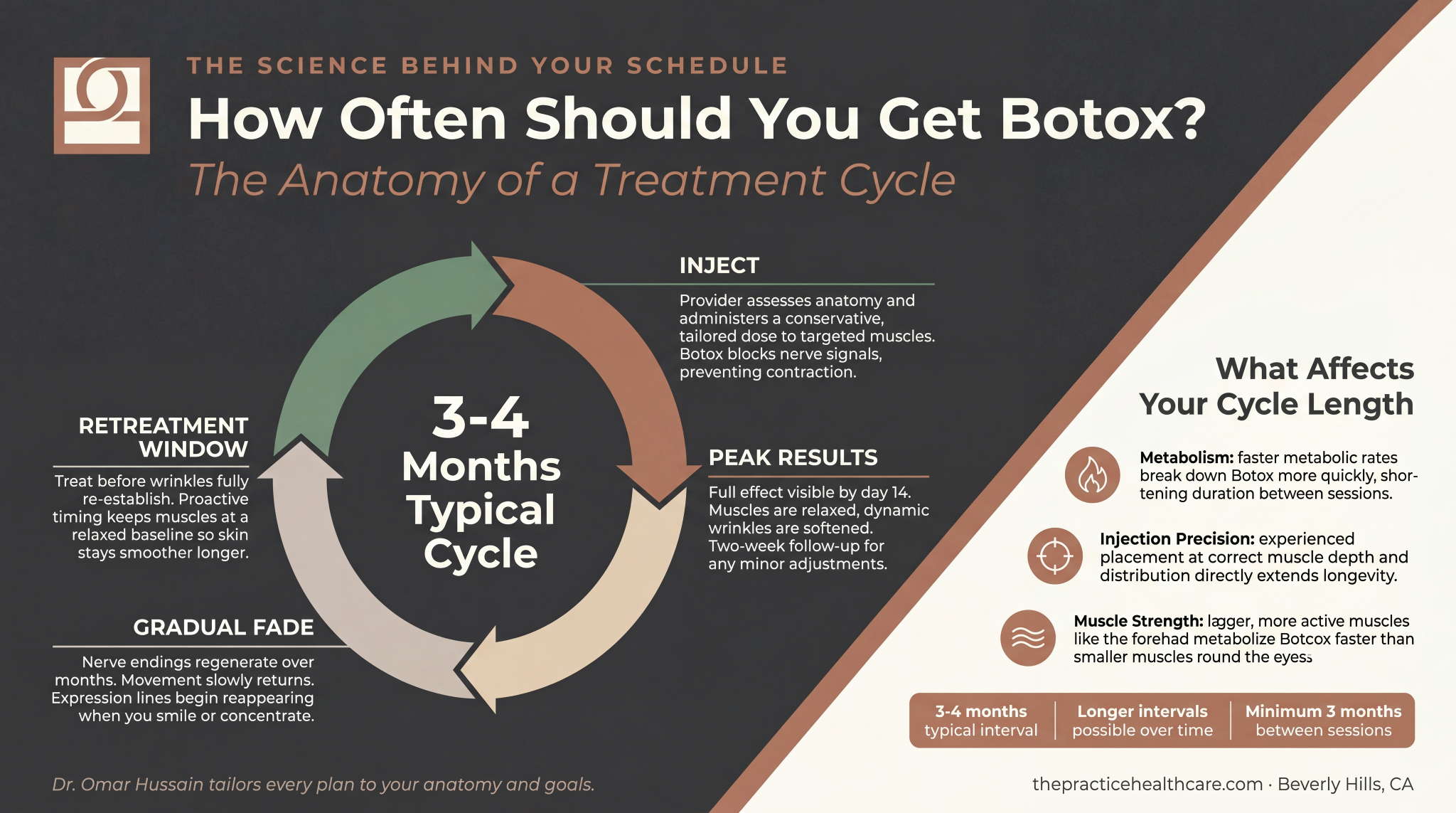 Infographic illustrating the four-stage Botox treatment cycle from injection through retreatment with factors that affect cycle length